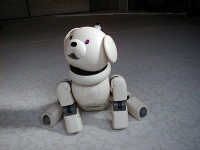 Robot | AIBO ERS-311 Latte | Robotics Today