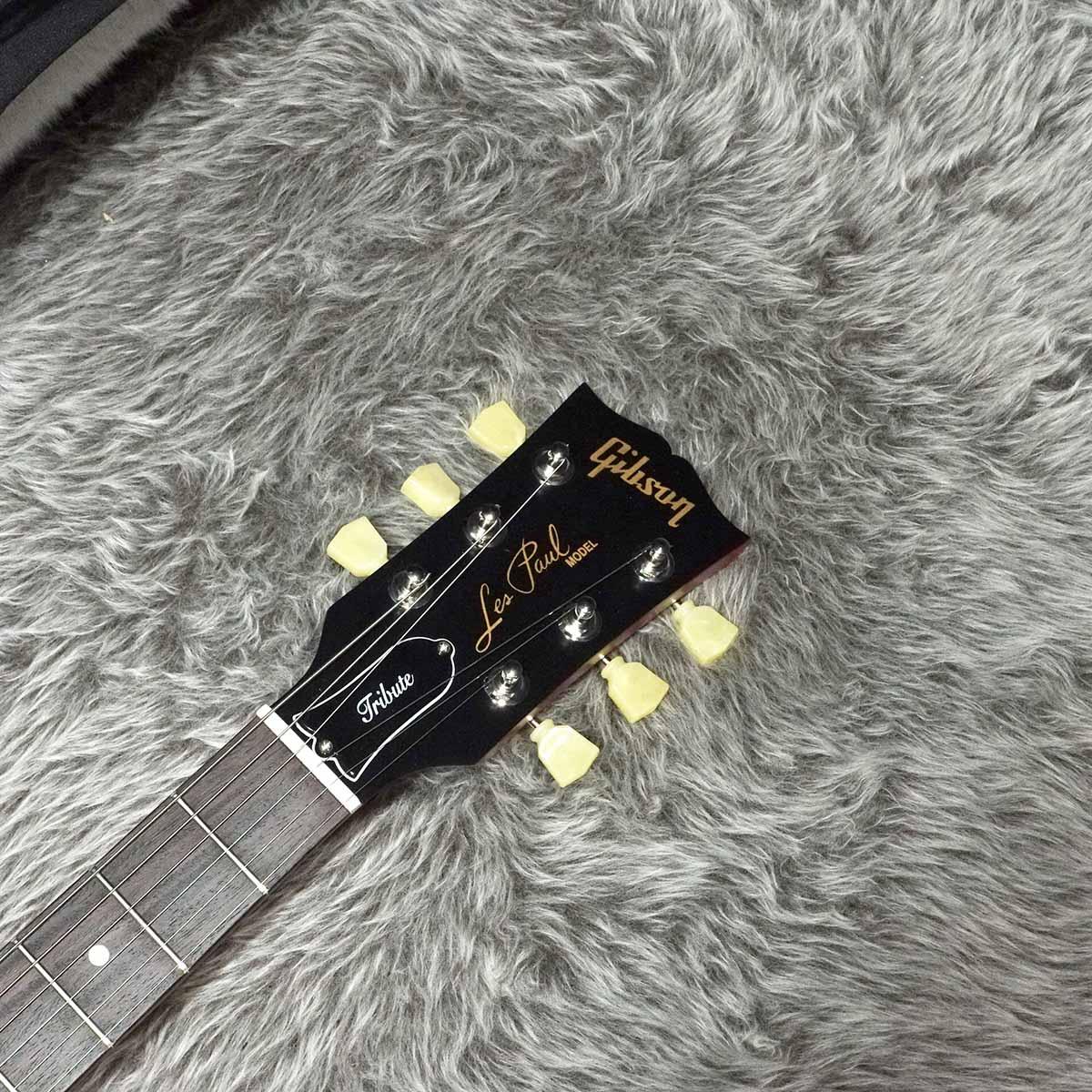 Gibson Les Paul Studio Tribute 2019 Satin Iced Tea <ギブソン