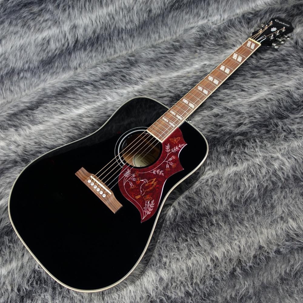 【良品】EpiphoneエピフォンHummingBird PRO/FC Epiphone Hummingbird PRO エピフォン【現物画像】 エピフォン
