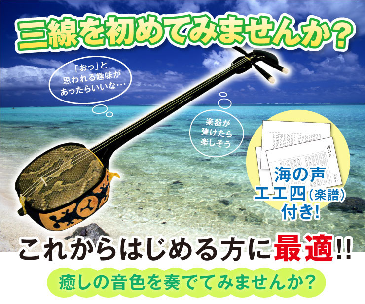 楽天市場】【初心者入門用・豪華三線セット】沖縄三線21点セット（A