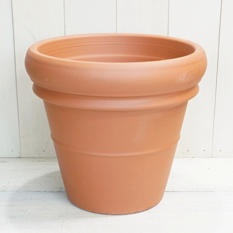 楽天市場】植木鉢 おしゃれ 大型 テラコッタ リムポット (4サイズ) 12