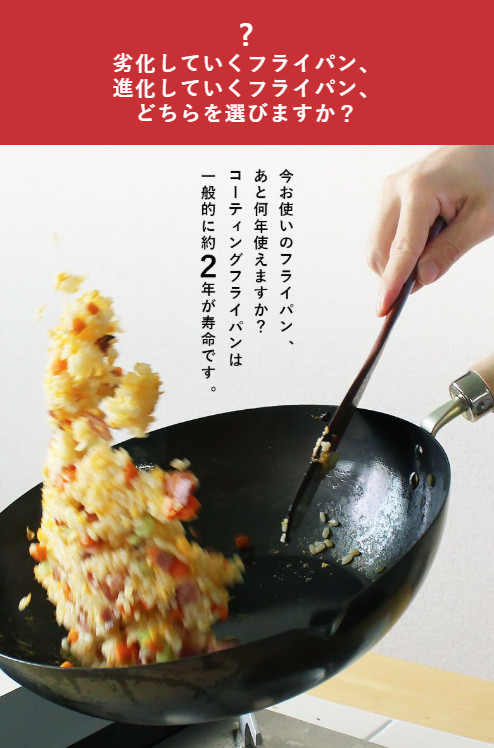 楽天市場】究極の鉄 フライパン リバーライト 極 JAPAN ステーキパン M