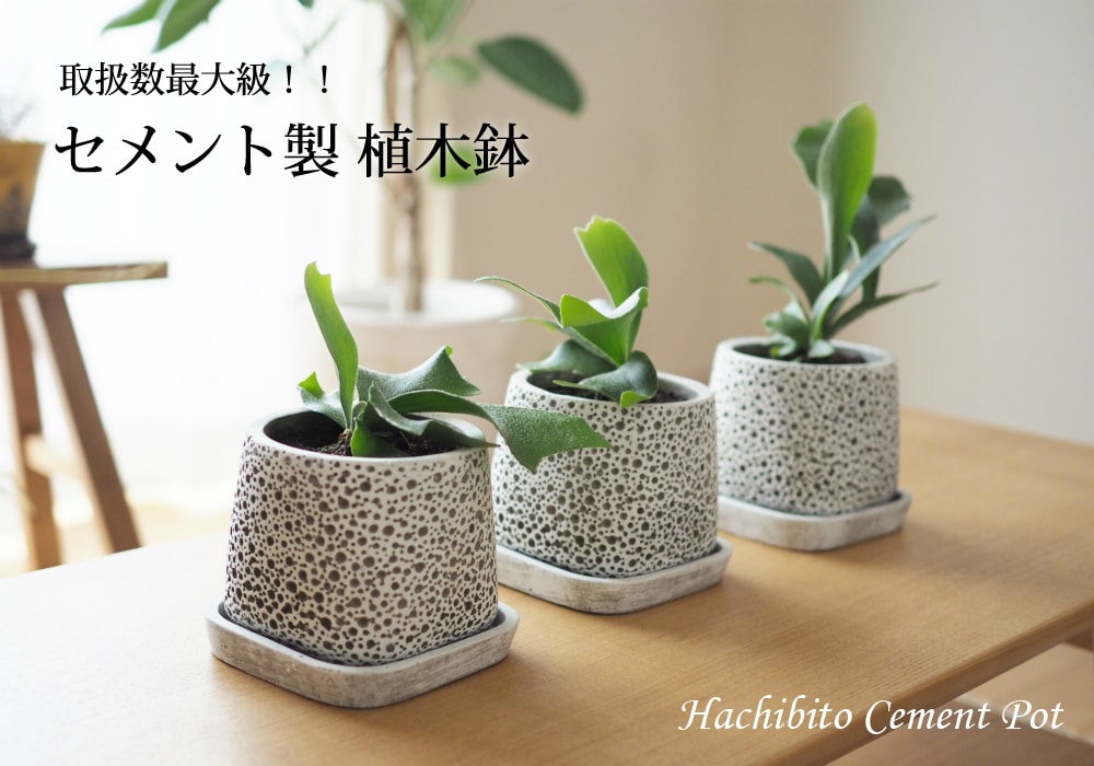 植木鉢とテラコッタの専門店 鉢人｜楽天市場店