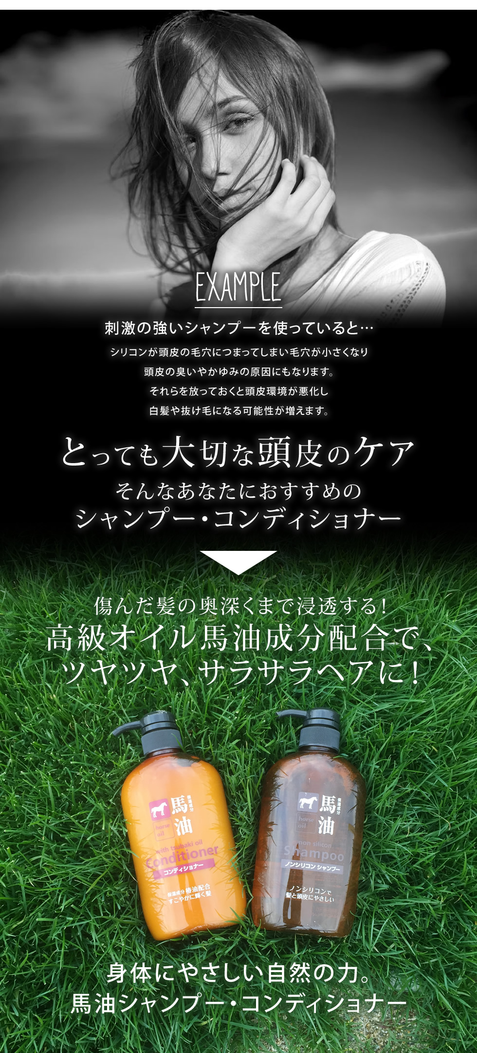 楽天市場】【クーポンで5％OFF】【公式】 馬油 コンディショナー 本体