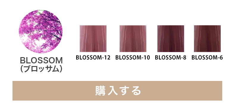 プロ用ヘアカラー剤　47本 サロン ド プロ 泡のヘアカラー・エクストラリッチ（白髪用） 1個