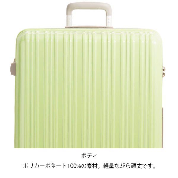 楽天市場】【各種利用でポイント最大27倍！ 】 アジアラゲージ アジア