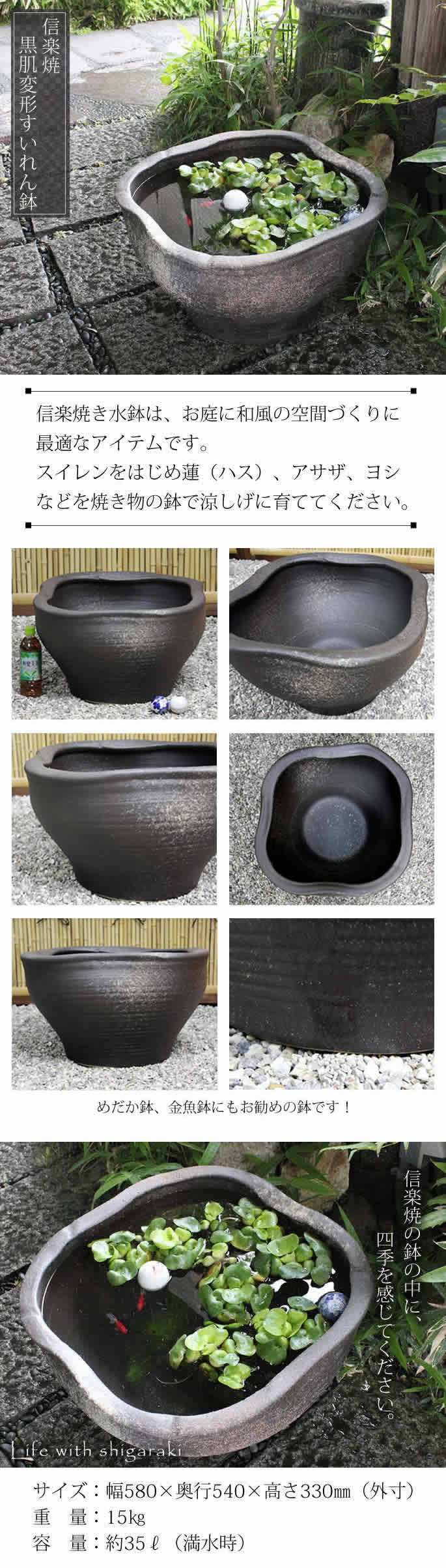楽天市場】【ポイント10倍】19号黒肌変形水鉢 信楽焼すいれん鉢 メダカ