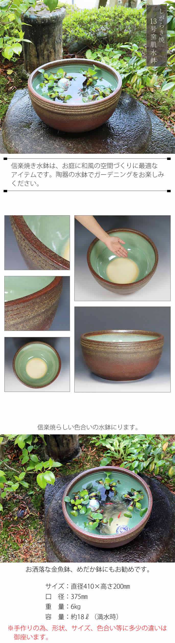 楽天市場】メダカ鉢 おしゃれな睡蓮鉢 金魚鉢 金魚鉢にも最適 睡蓮鉢