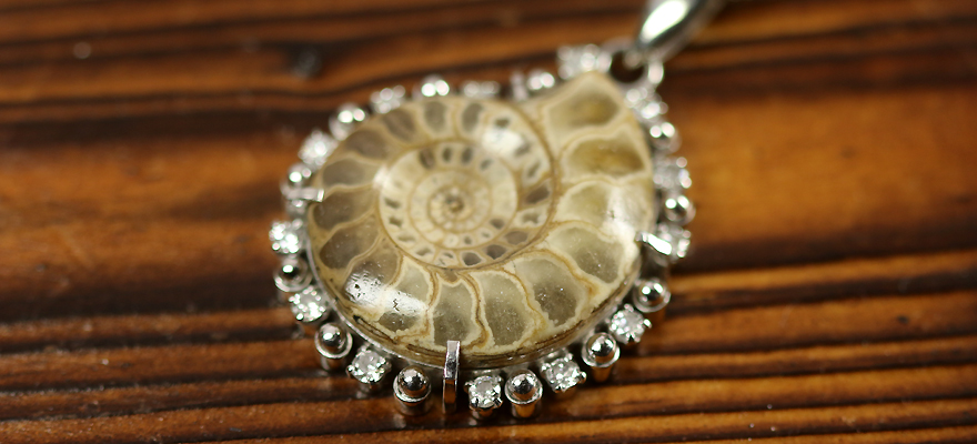アンモナイト ダイヤモンド プラチナ ネックレス【品質保証書/宝石鑑別