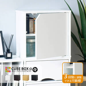 CBA改 木扉 可動棚付 キューブボックスα CUBE BOXα