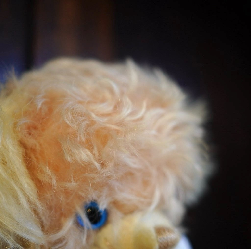 メリーソート / MERRYTHOUGHT チーキーベア ミレニアムベイビー 2001個