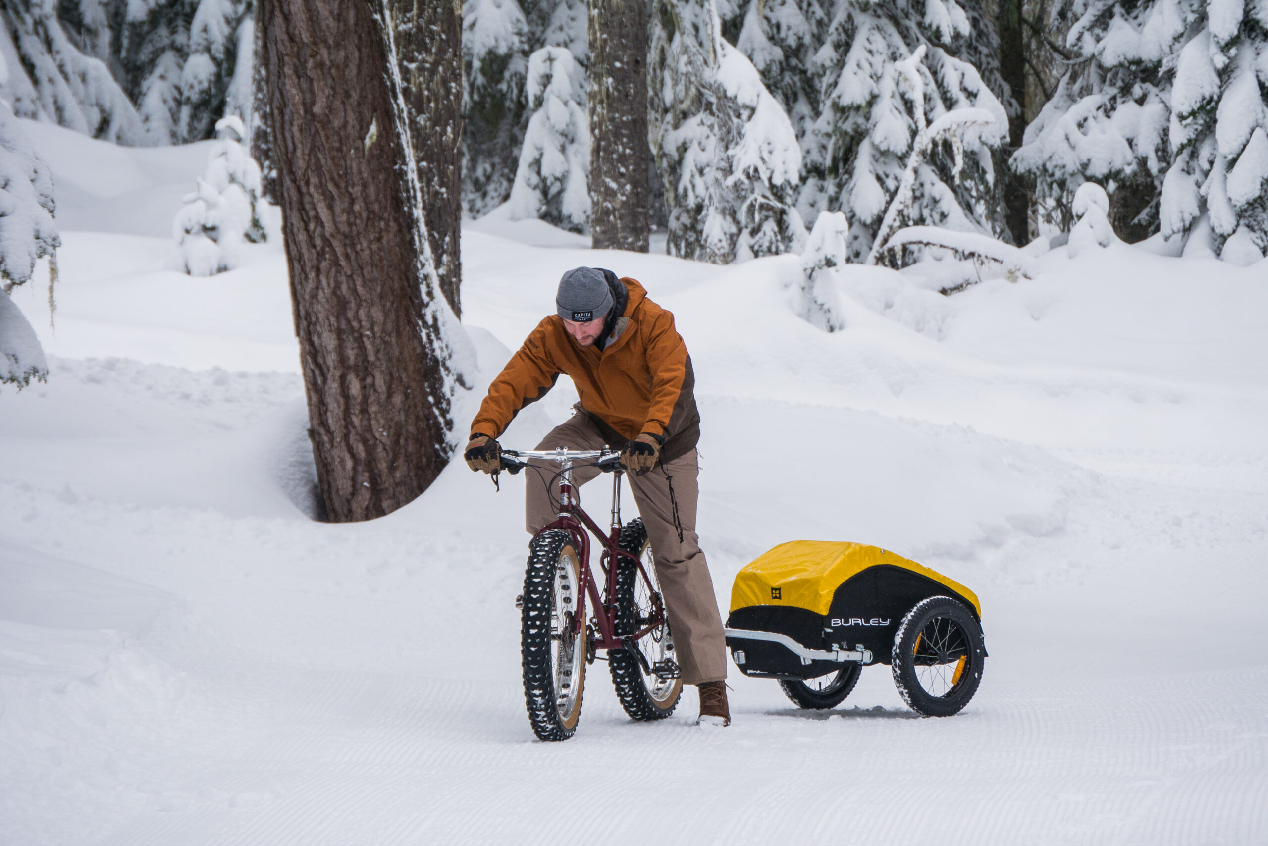 ノマド (Nomad™) - 公式バーレー(Burley)自転車用ベビーカー,サイクル