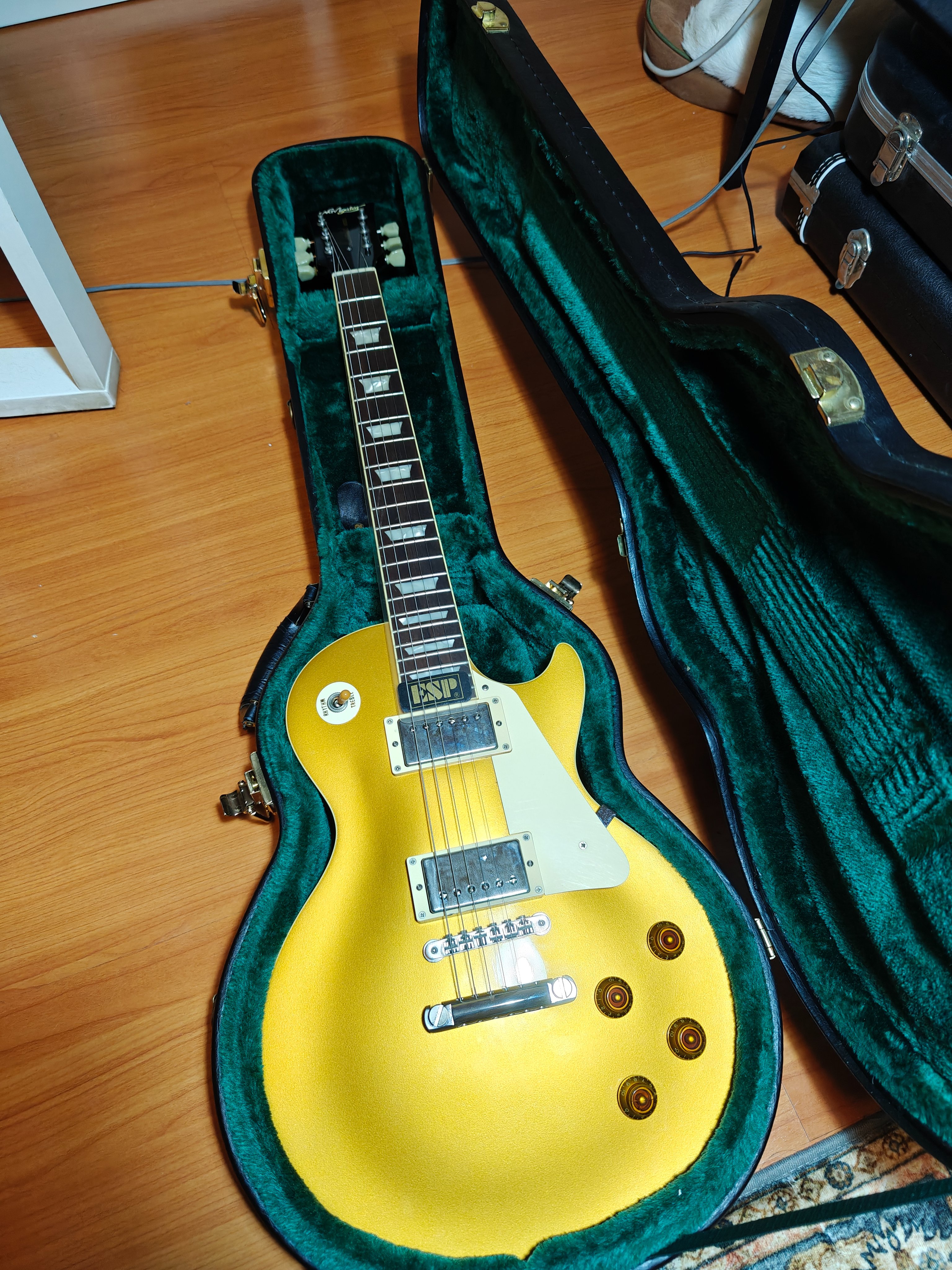 NGD: ESP Custom Shop Content | Rig-Talk