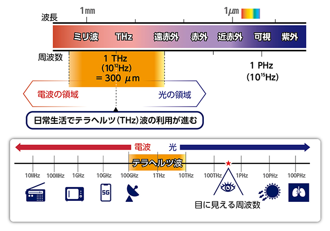 テラヘルツ波が細胞にもたらす影響を探る | 理化学研究所