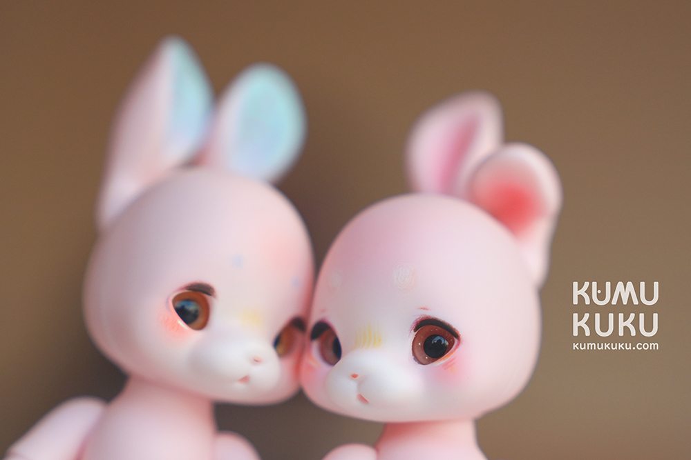 kumukuku初回受注のご案内 | risubaco