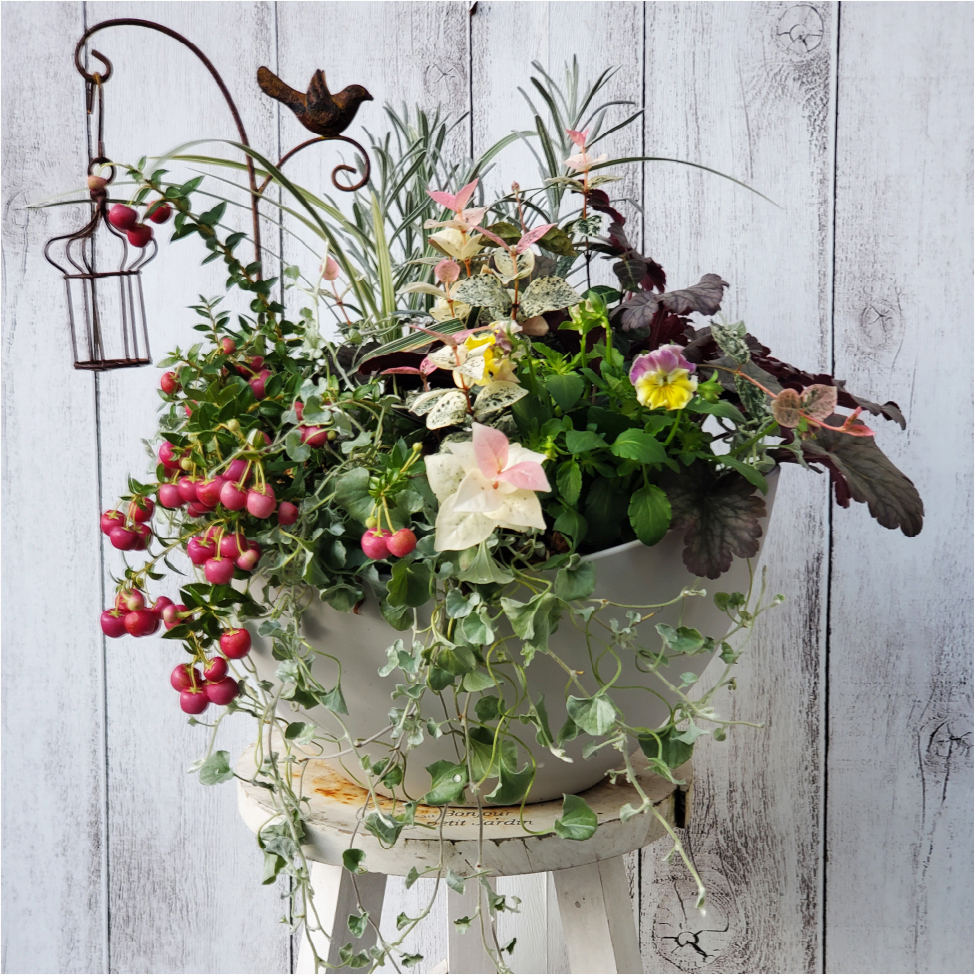 ギャザリン寄せ植えコンテスト結果発表 - リッチェルLIFE+【公式】