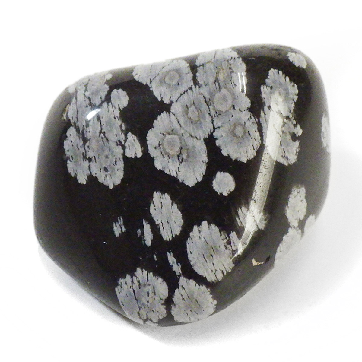 岡山のパワーストーン、風水・開運グッズのお店 龍祥本舗