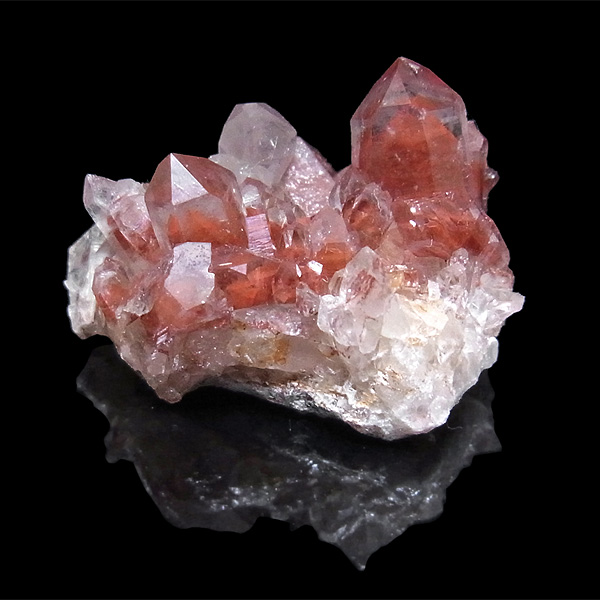 岡山のパワーストーン、風水・開運グッズのお店 龍祥本舗 / レッド