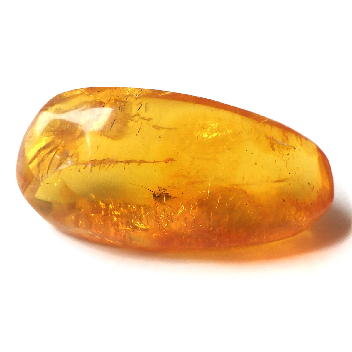 岡山のパワーストーン、風水・開運グッズのお店 龍祥本舗 / 虫入り