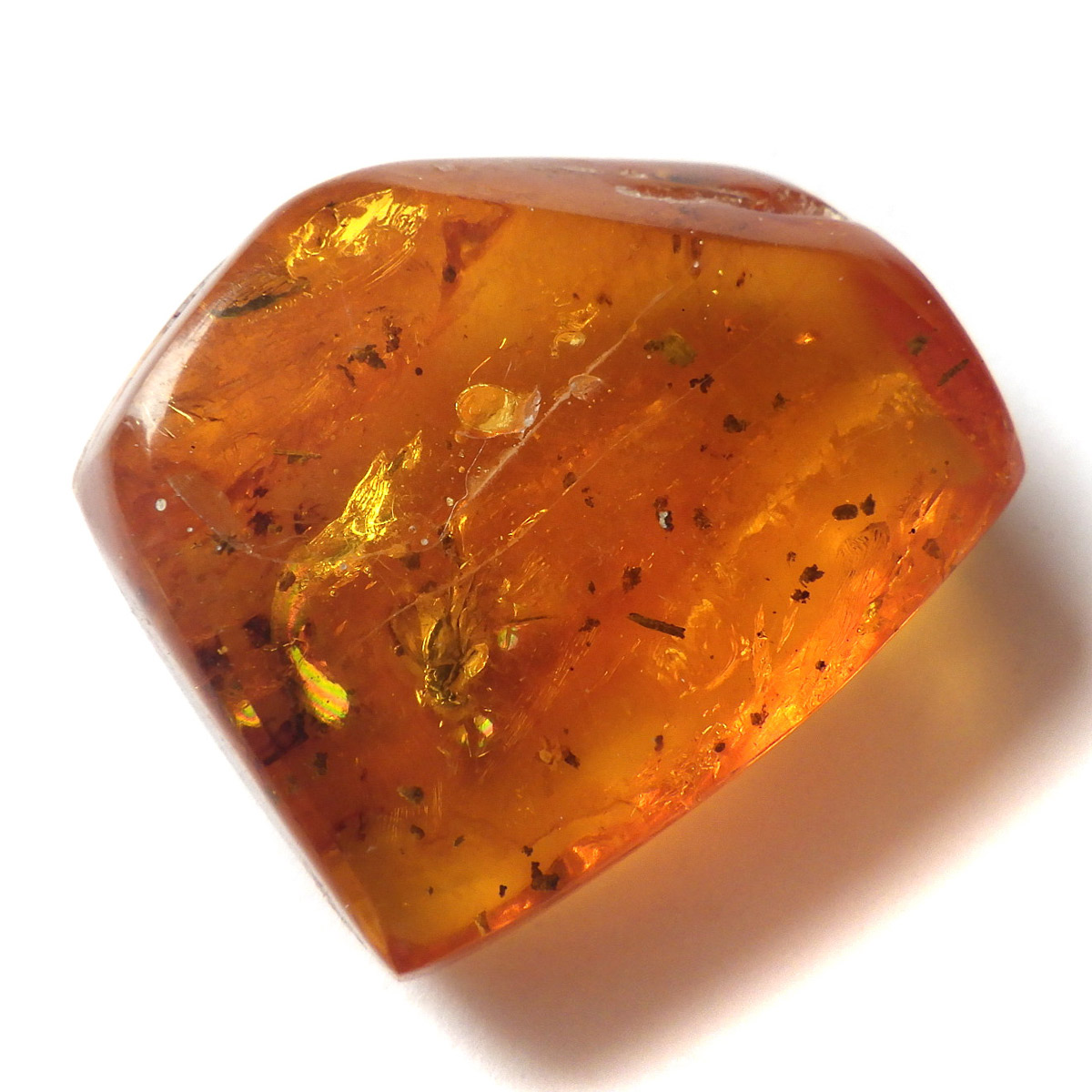 岡山のパワーストーン、風水・開運グッズのお店 龍祥本舗 / 虫入り