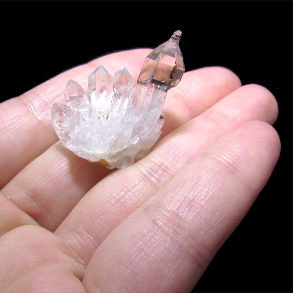 岡山のパワーストーン、風水・開運グッズのお店 龍祥本舗 / セプター