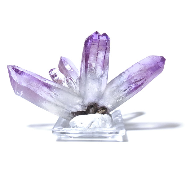 岡山のパワーストーン、風水・開運グッズのお店 龍祥本舗 / ベラクルス