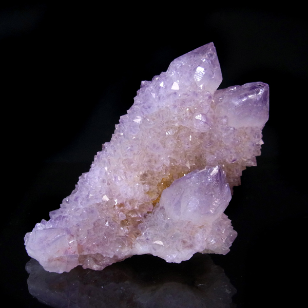 岡山のパワーストーン、風水・開運グッズのお店 龍祥本舗 / カクタス