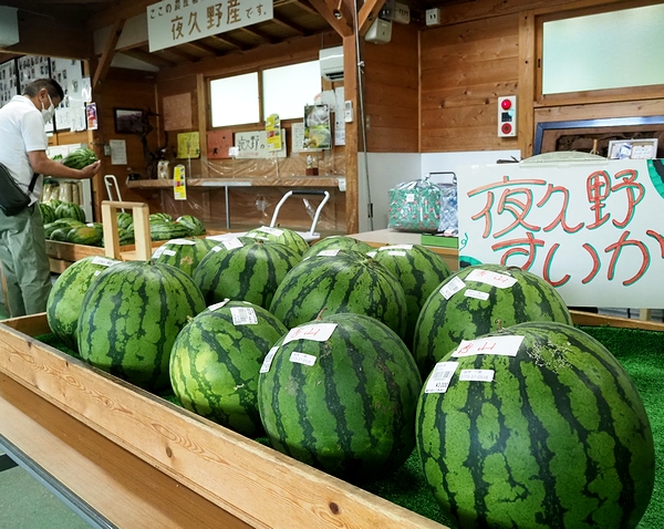 両丹日日新聞：夏の味覚の大売り出し 道の駅農匠の郷でスイカまつり
