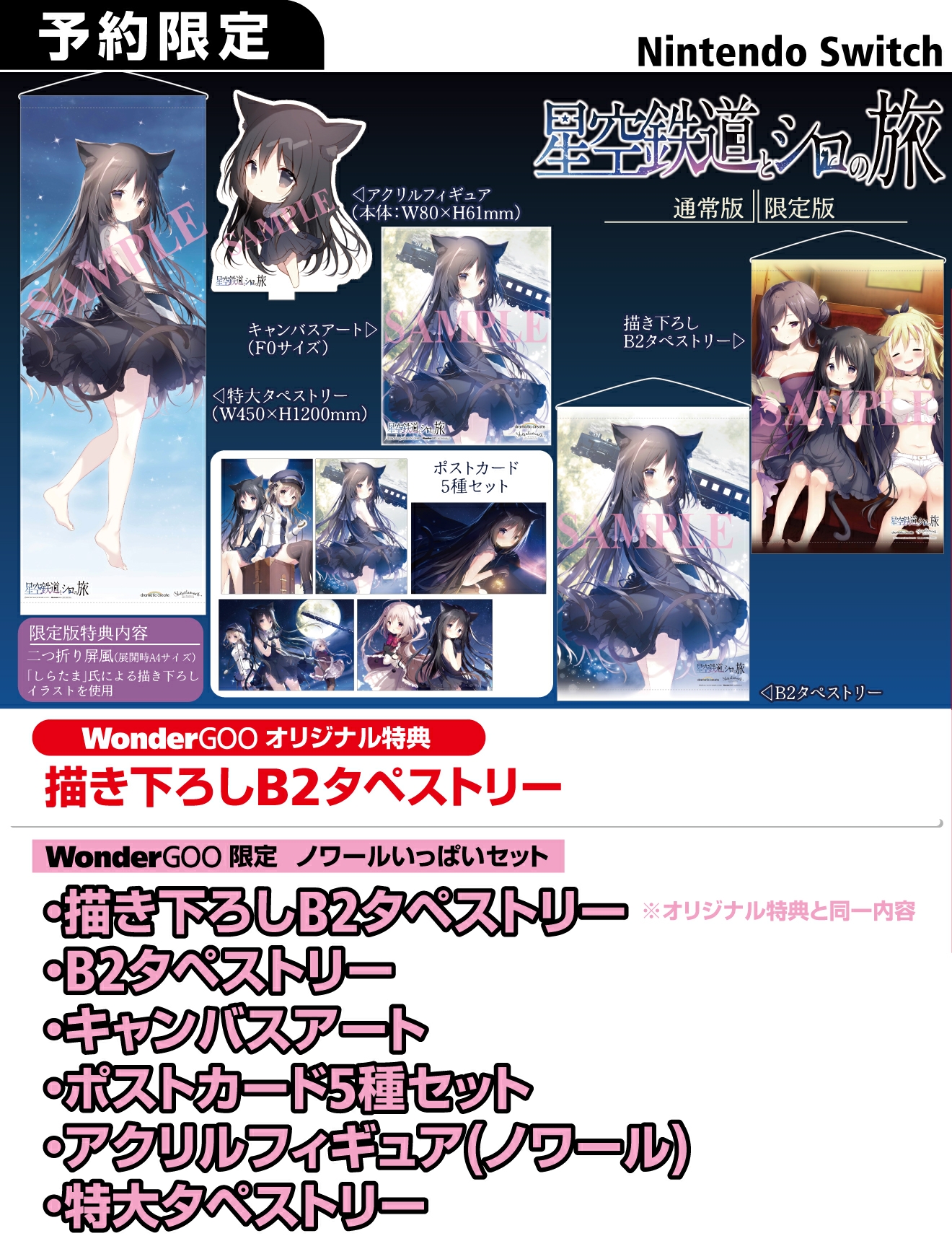 Nintendo Switch 星空鉄道とシロの旅【限定セット】描き下ろしB2