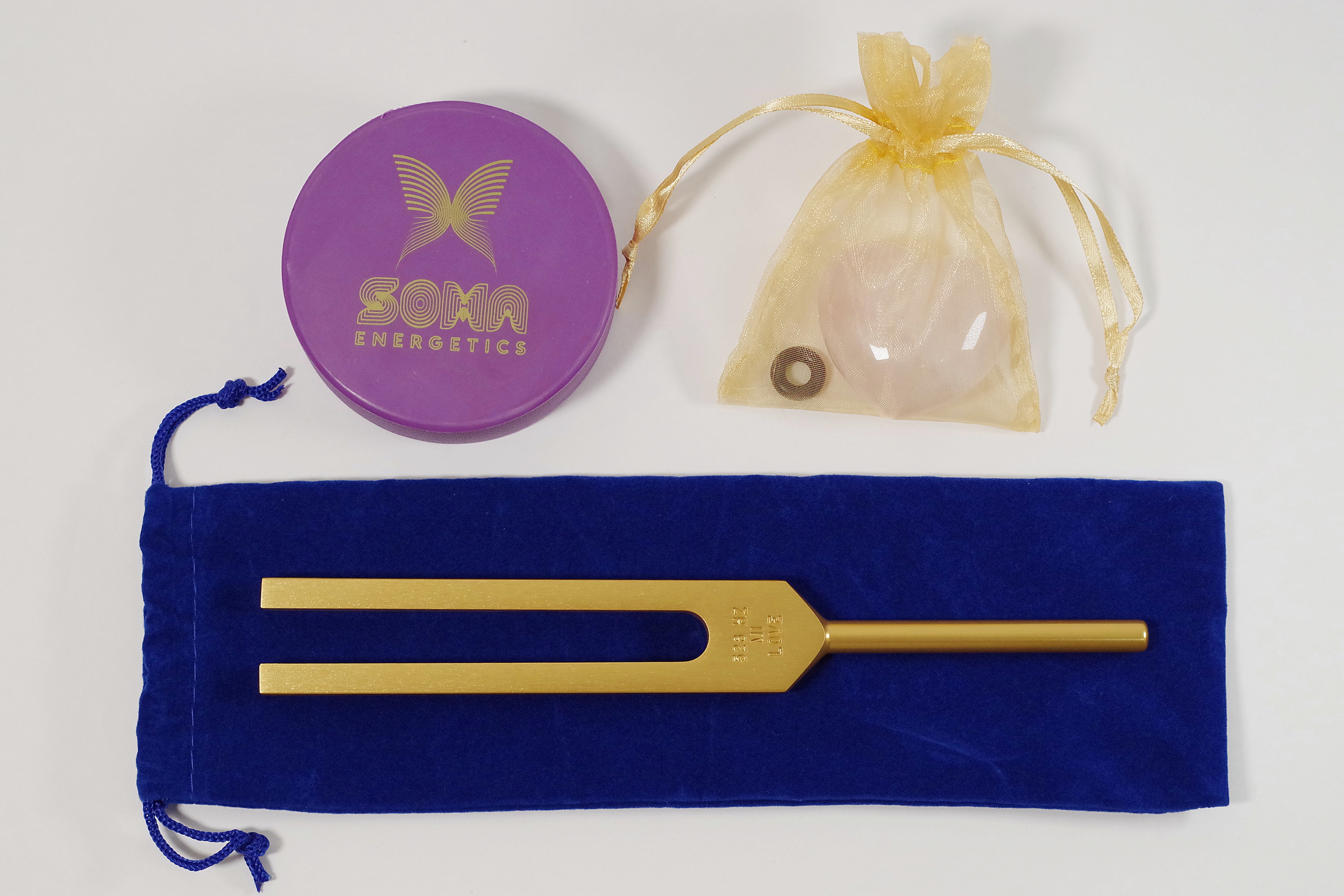 体：体と取り組む