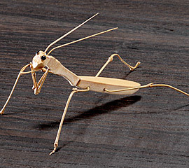 株式会社イトー【ギフトショー】