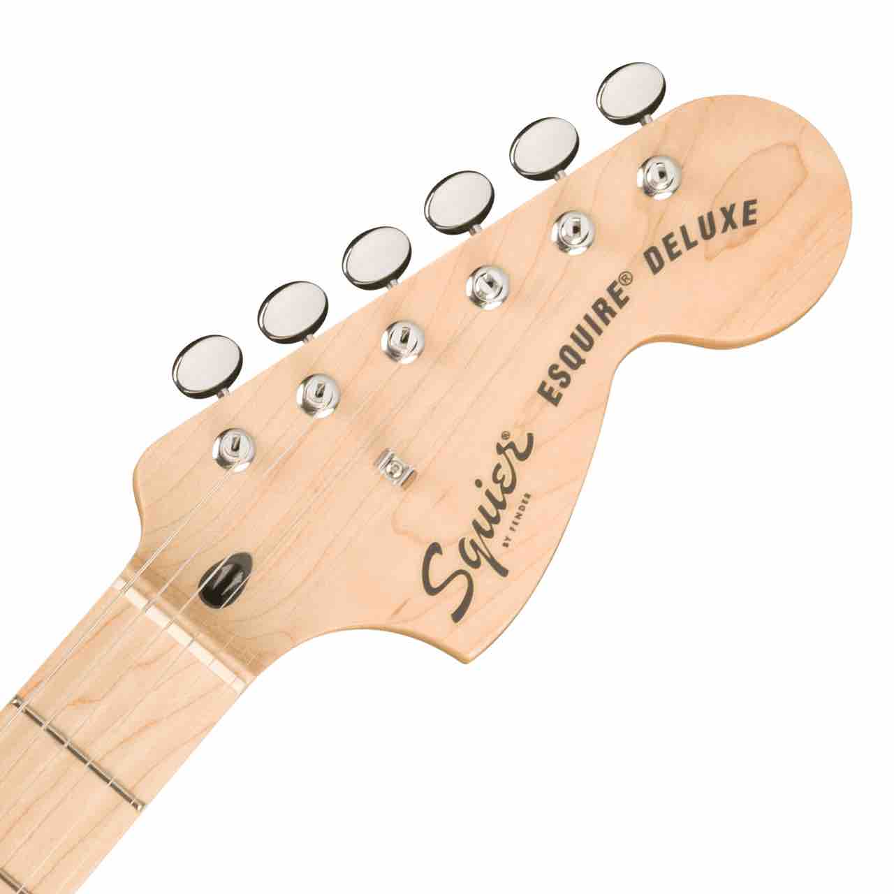 SQUIER スクワイヤー Paranormal Esquire Deluxe Mocha テレキャスター