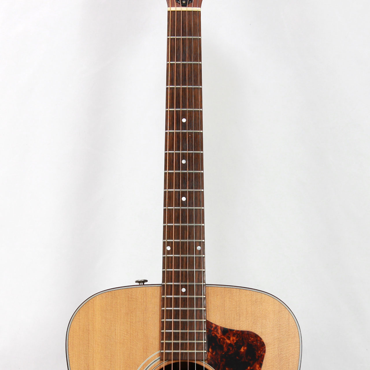 GUILD ギルド DV-6 | ワタナベ楽器店 京都本店