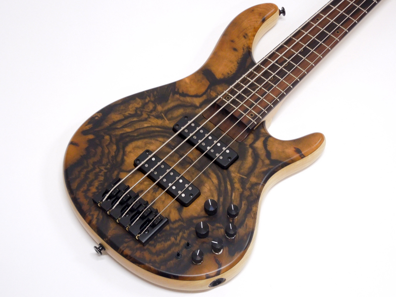 STR GUITARS LS549 #492 | ワタナベ楽器店 大阪店