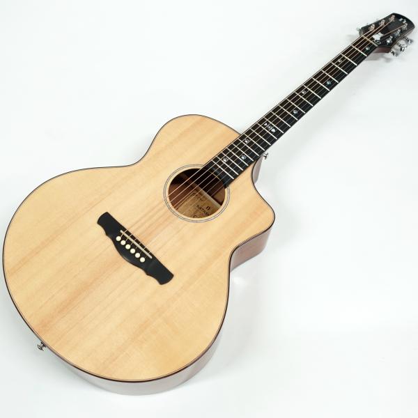 NATASHA GUITAR ナターシャ・ギター CAT アコースティックギター 送料