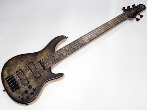 STR GUITARS LS549 #496 | ワタナベ楽器店 大阪店