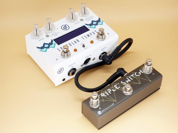 GFI SYSTEM Specular Tempus + Triple Switch < Used / 中古品