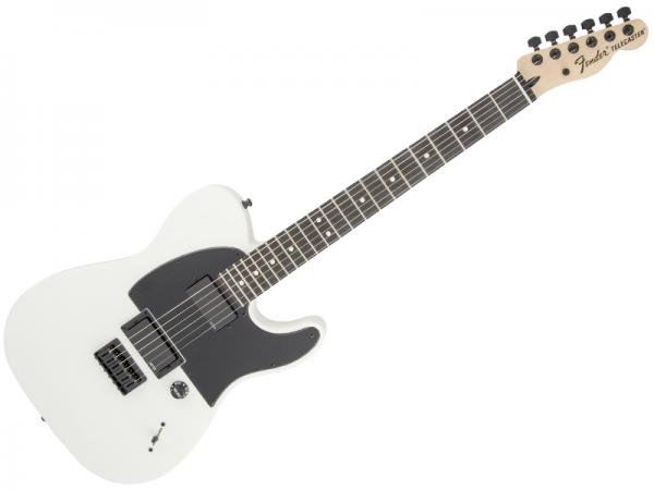 Fender フェンダー Jim Root Telecaster (Flat White)【mex ジム