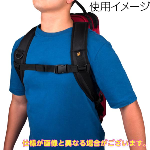 PROTEC プロテック BP-STRAP バックパックストラップ 管楽器 ケース