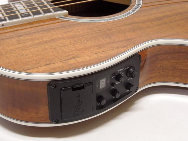 TAKAMINE タカミネ TSP178ACK N【薄胴ボディ 国産 エレアコ 】 送料