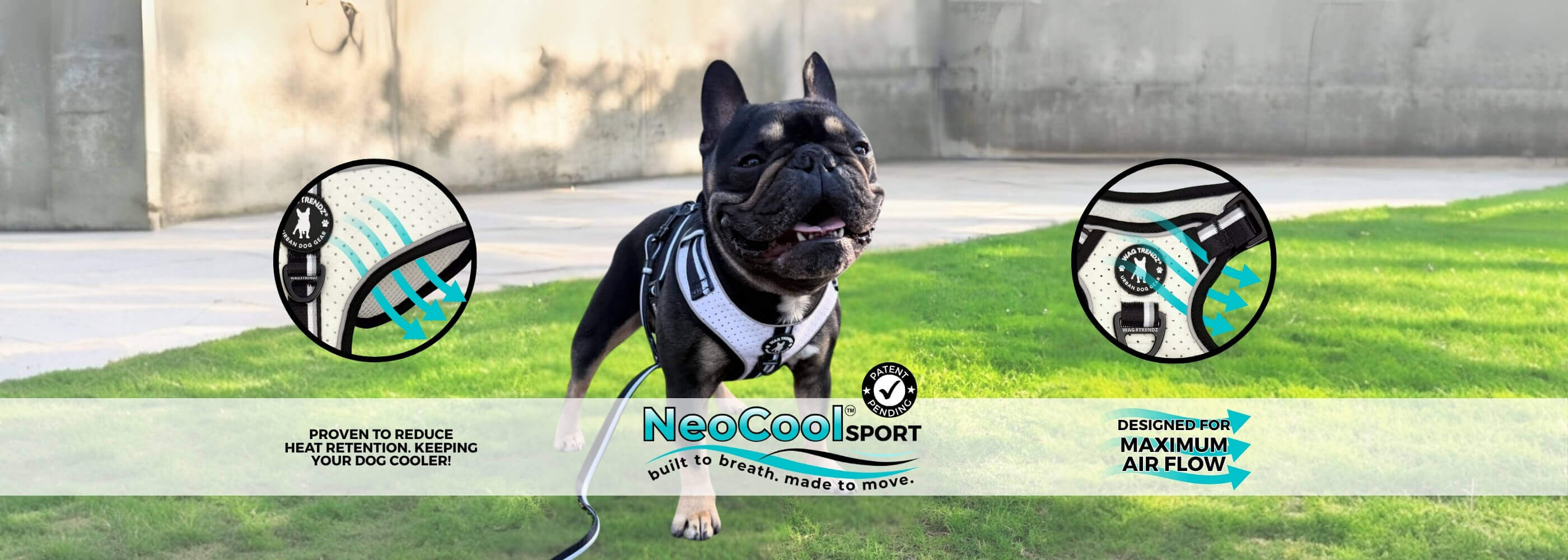 NeoCool™ Sport Harness Collection – Patent Pending Design