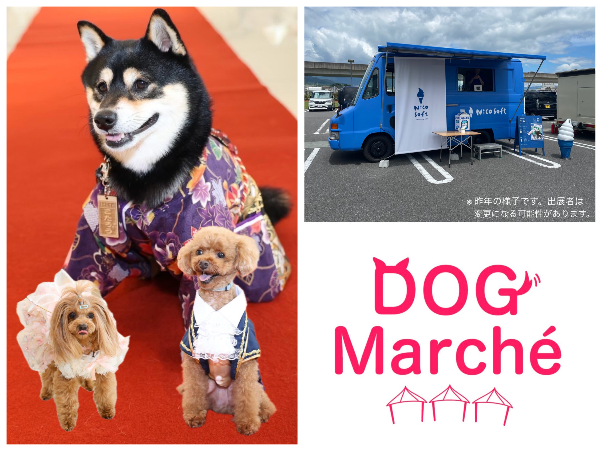 催行中止＊10/26(日)愛犬が主役！ドッグマルシェ＆ファッションショー