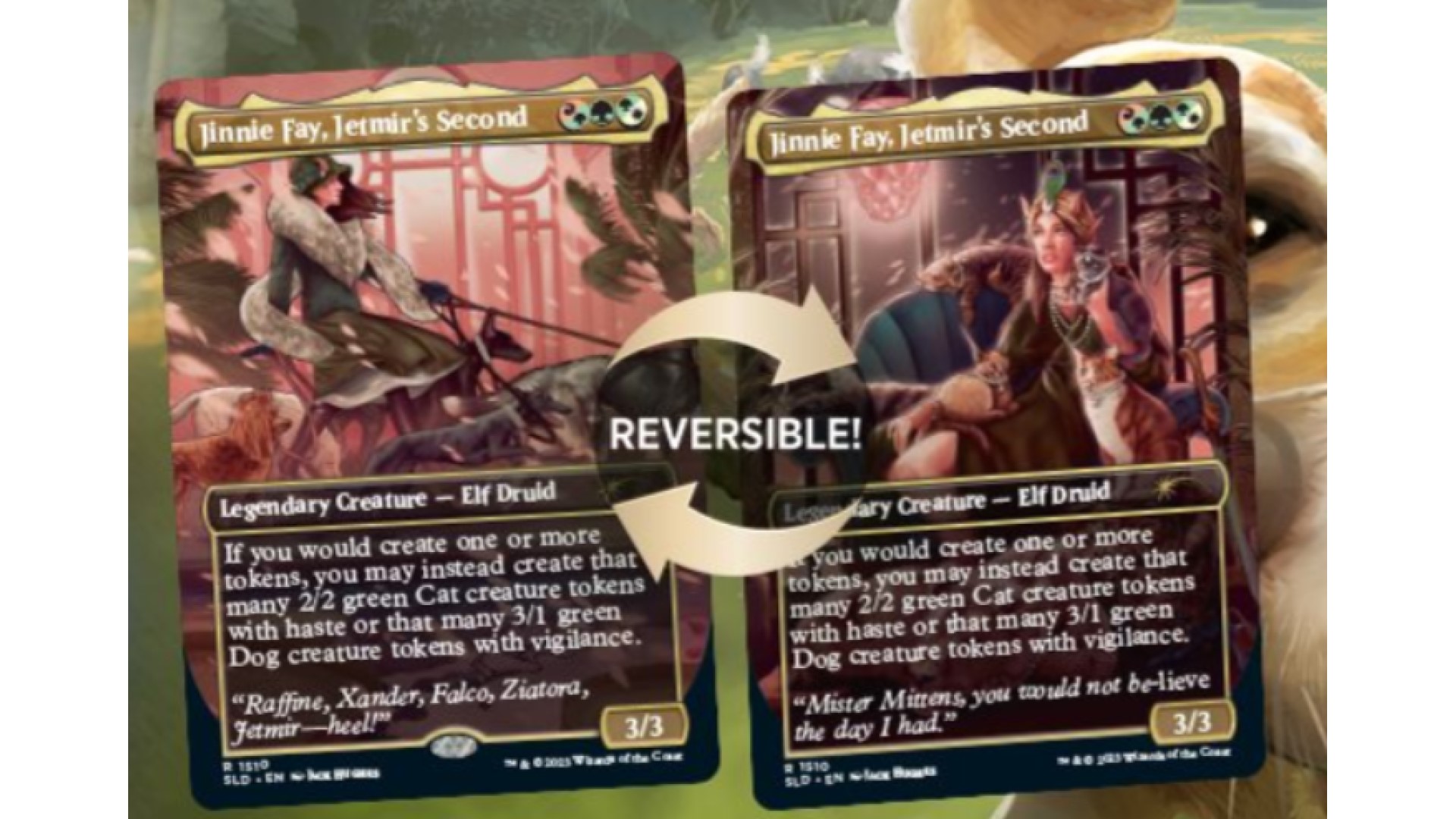 Cats and Dogs MTG Secret Lair reveals two adorable additions