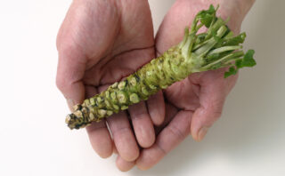 わさびの基礎知識 | 【公式】わさラボ | 知ってるようで知らないわさび