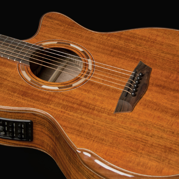 G55CE Koa | Washburn Guitars