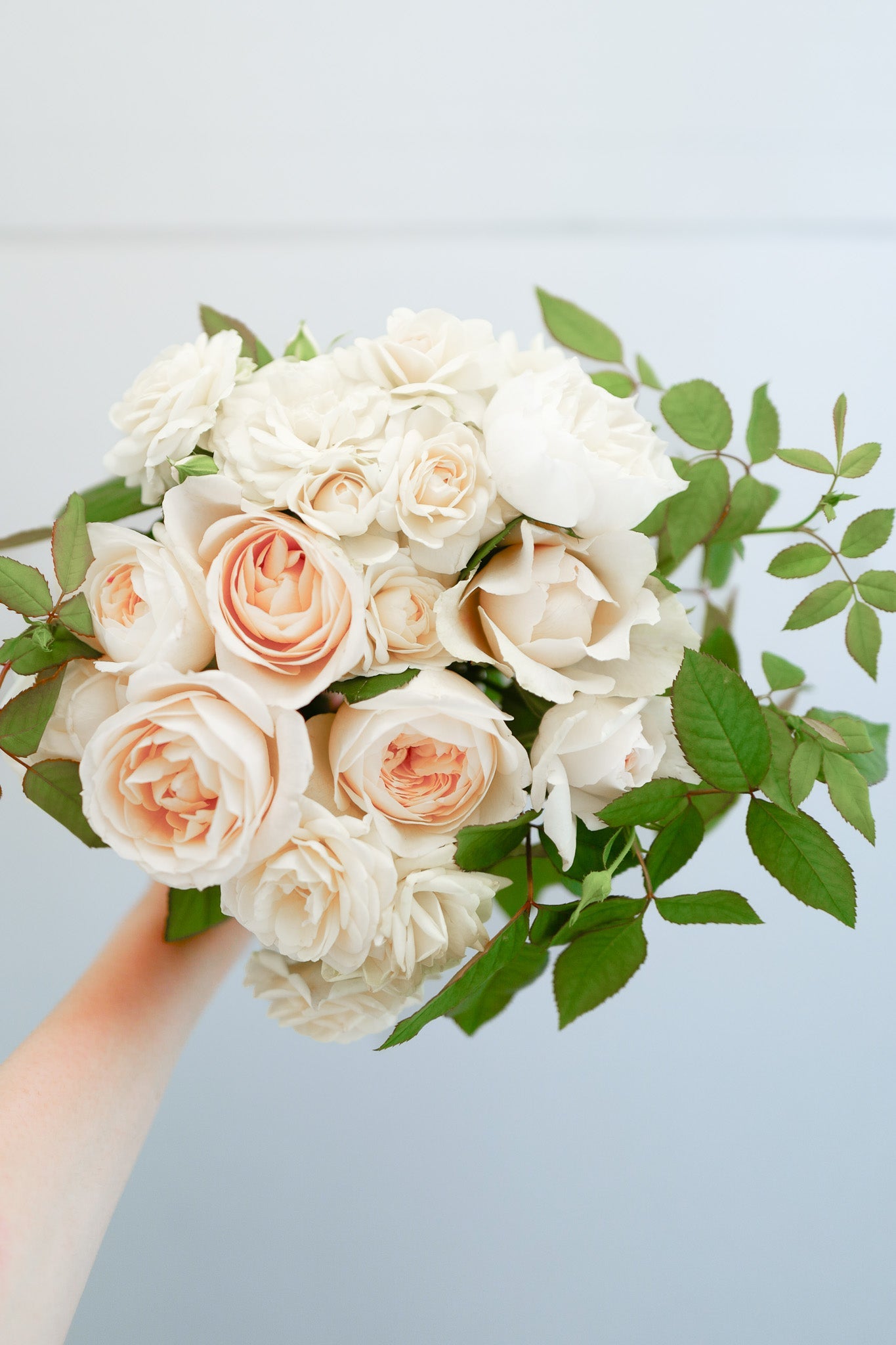 L1140627_cc753370-16ae-4fe6-