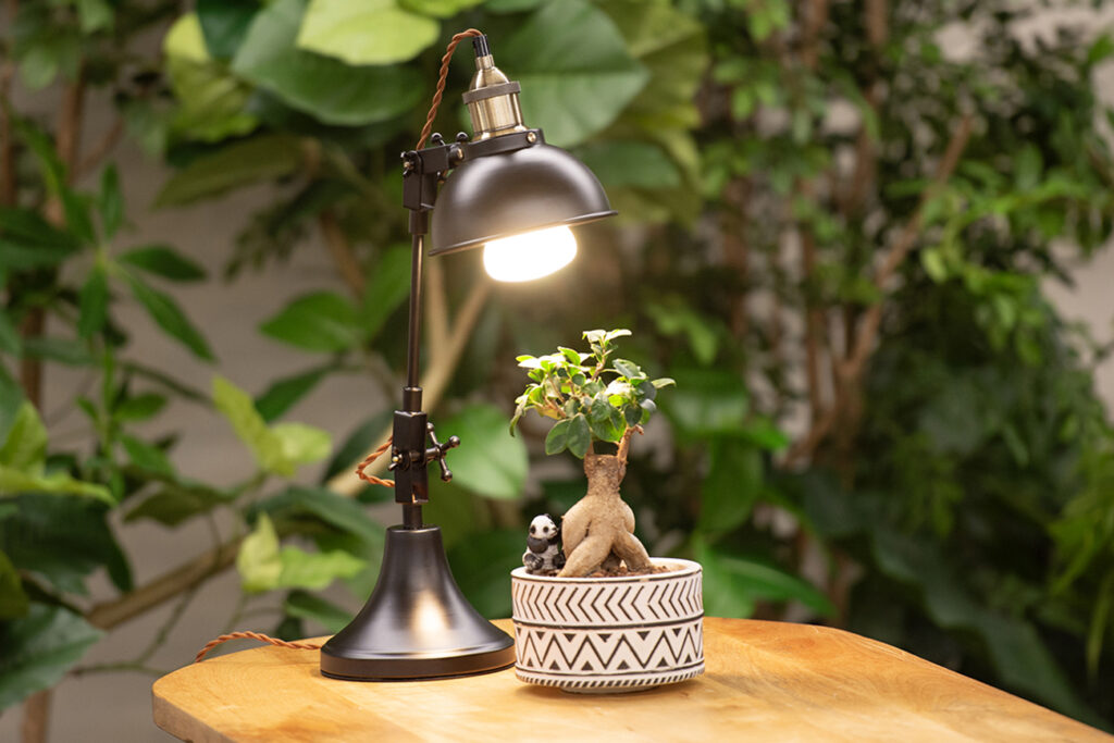 植物育成用LEDライト「Well-light(ウェルライト)」発売 | 日比谷花壇の