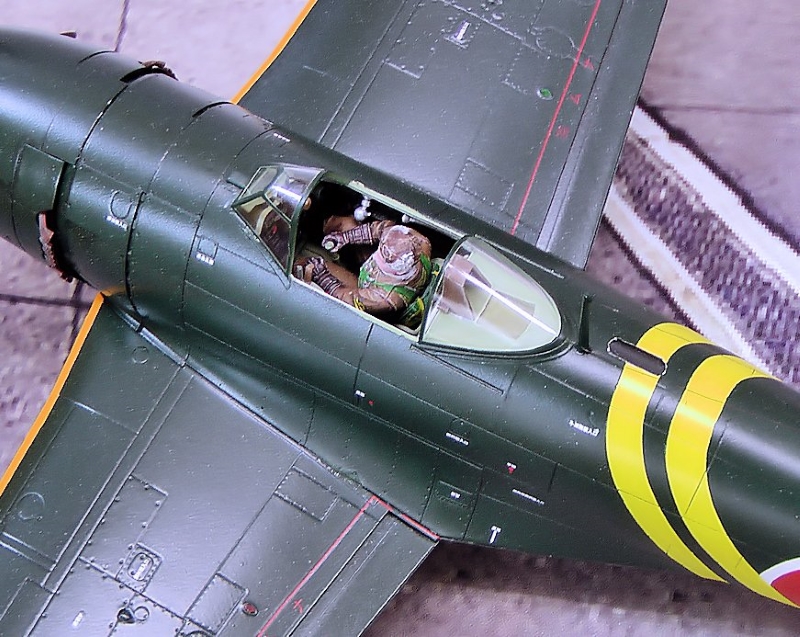 日本海軍局地戦闘機紫電改前期型(ハセガワ1/32) ＜ 飛行機プラモデル