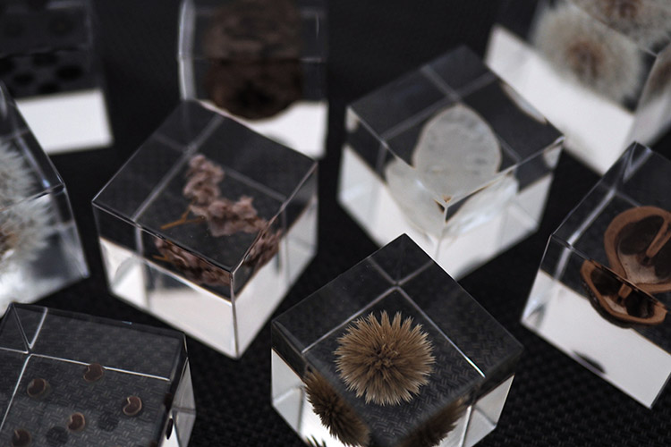 Sola Cube ソラキューブ 各種 / ウサギノネドコ ※プチギフト