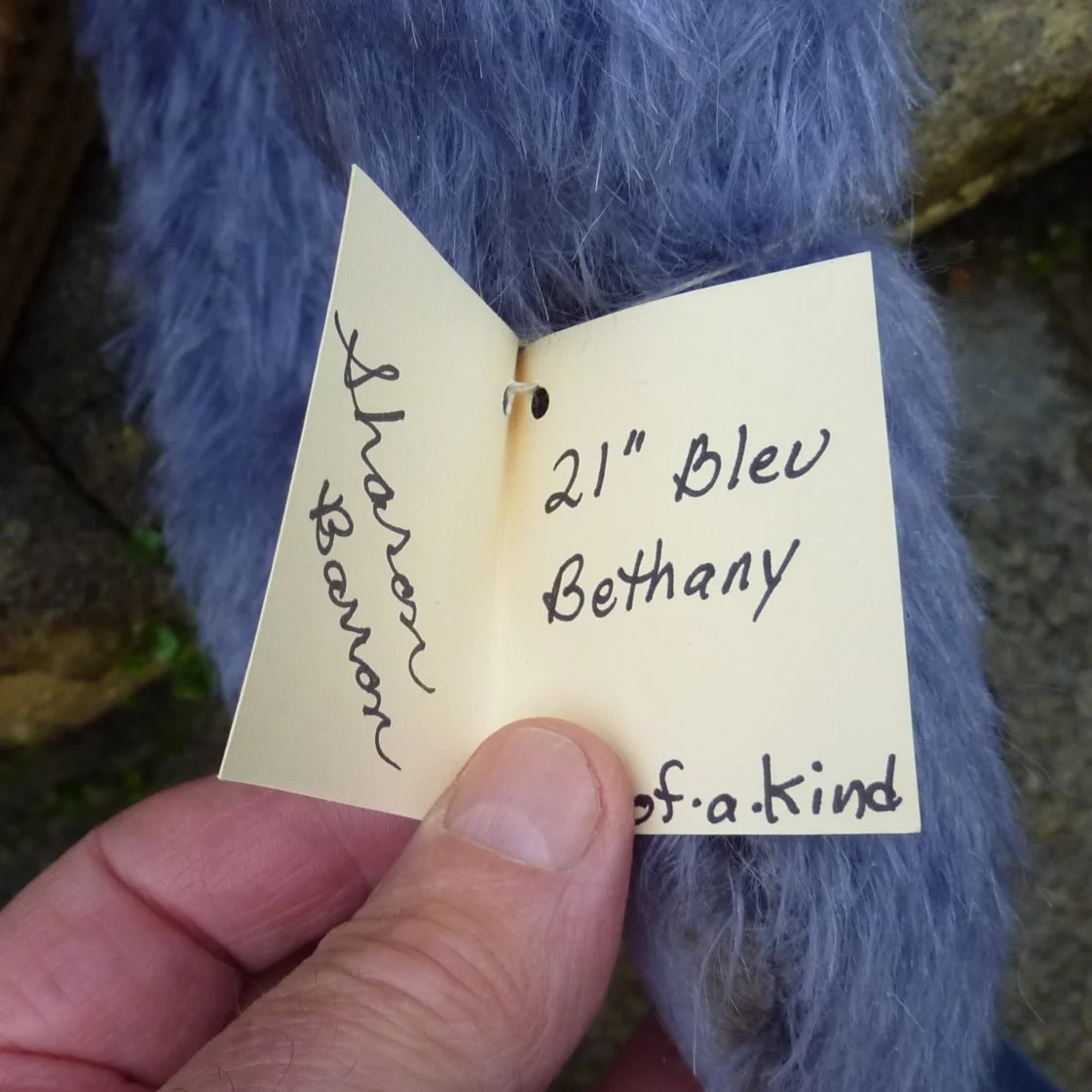 Sharon Barron、アメリカ、テディベア・オブ・ウィットニー